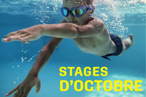 image-Stage d'octobre